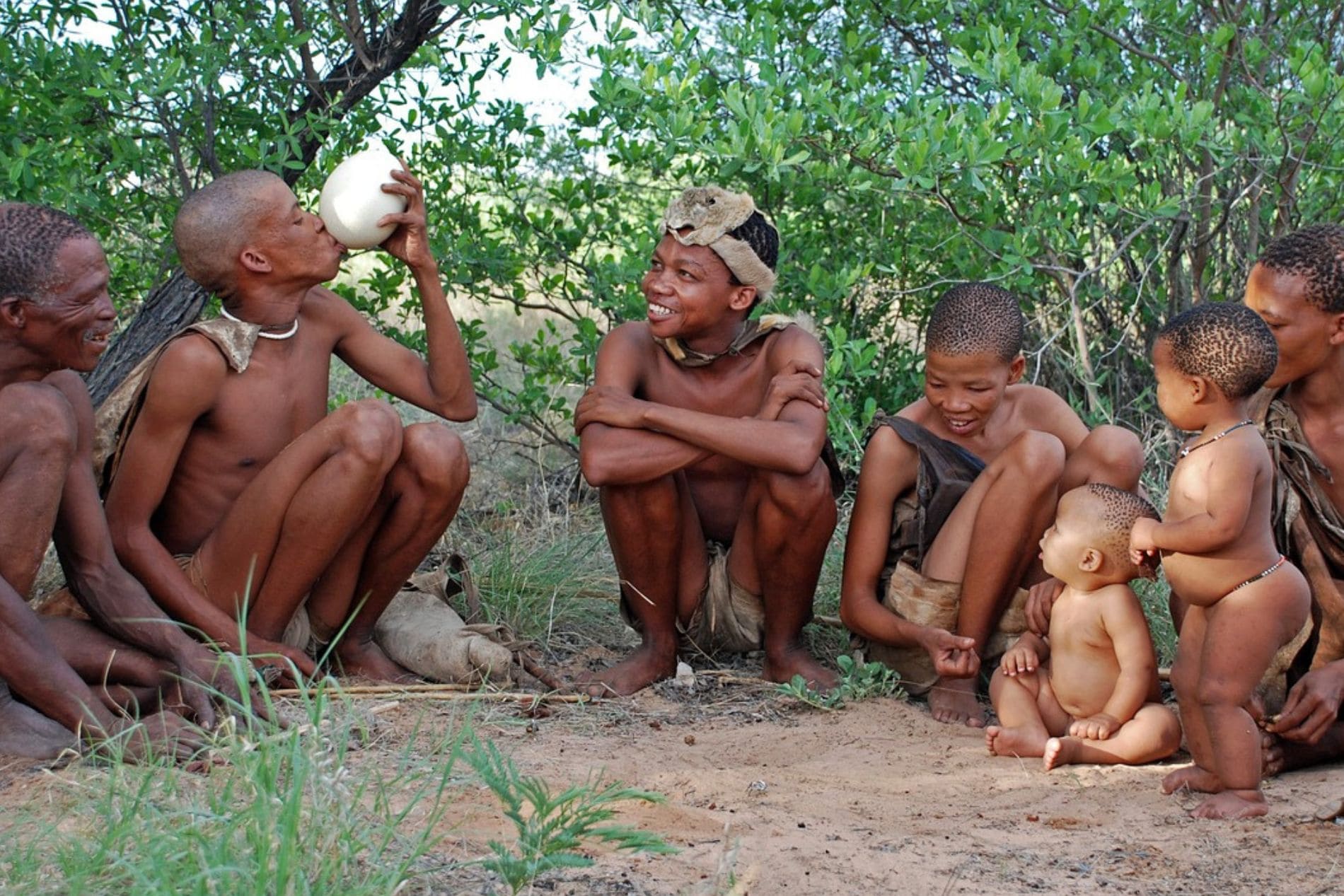 bushman_teljes